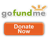gofundme.com donate button